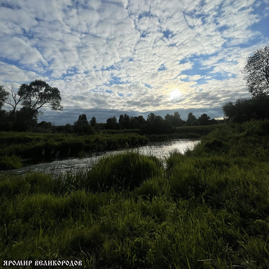 Летнее Солнцестояние: пик света, точка поворота и время силы