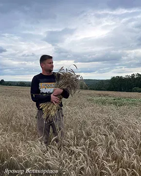 Мастер Яромир Великородов за резьбой по дереву