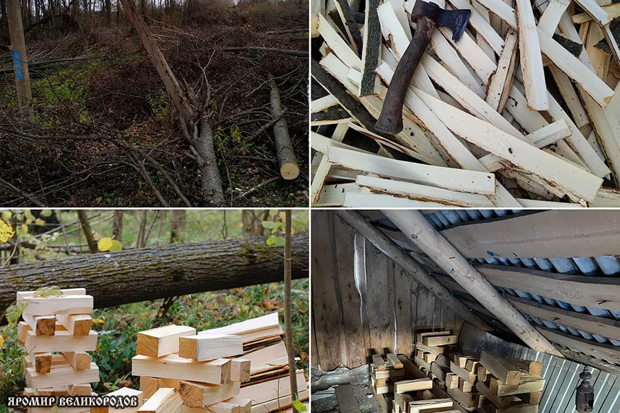 Подготовка деревянной заготовки для кумира - сушка липы более года в мастерской Яромира Великородова